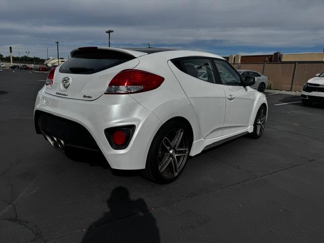 Vehicle Photograph