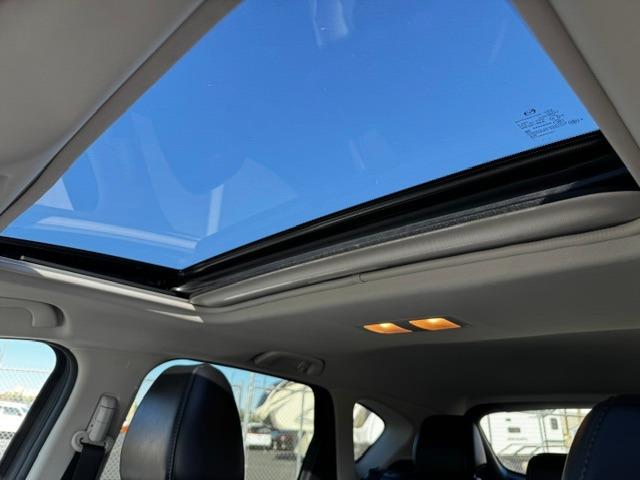 Vehicle Photograph
