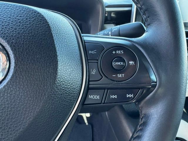 Vehicle Photograph