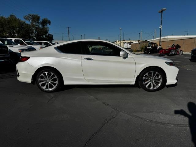 Vehicle Photograph