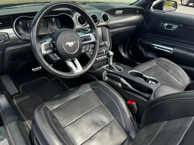Vehicle Photograph