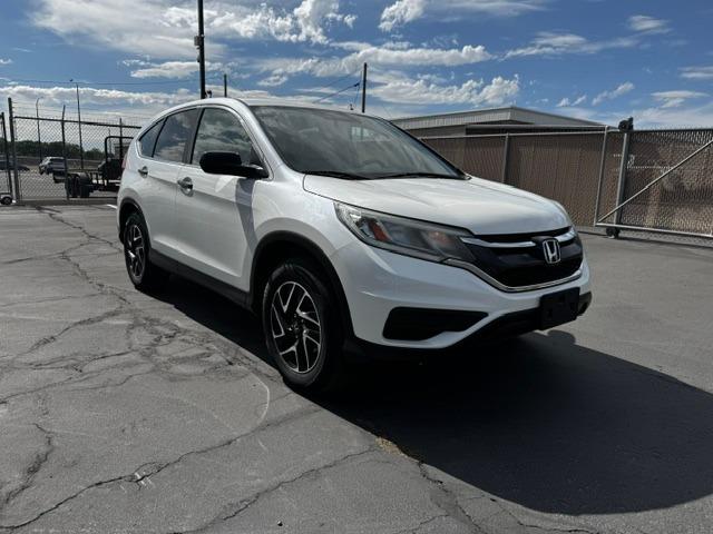 Vehicle Photograph