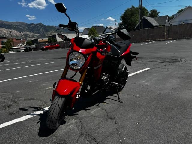 Vehicle Photograph