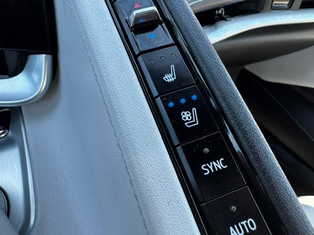 Vehicle Photograph