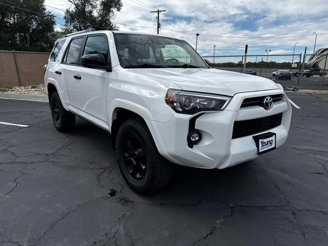 Vehicle Photograph