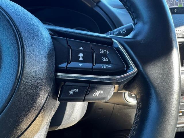 Vehicle Photograph