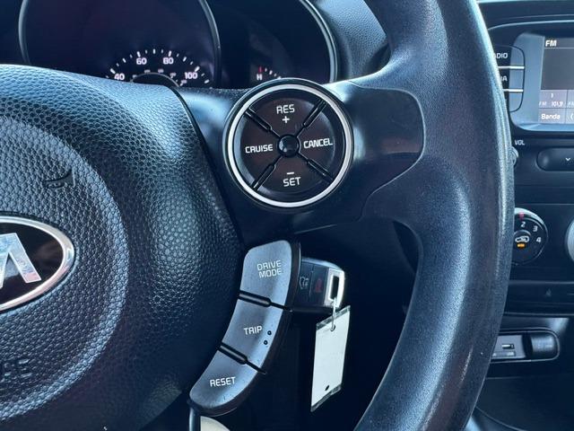 Vehicle Photograph