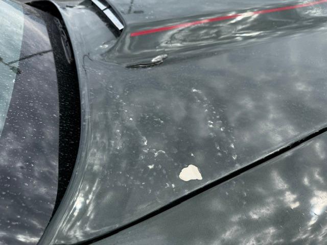 Vehicle Photograph