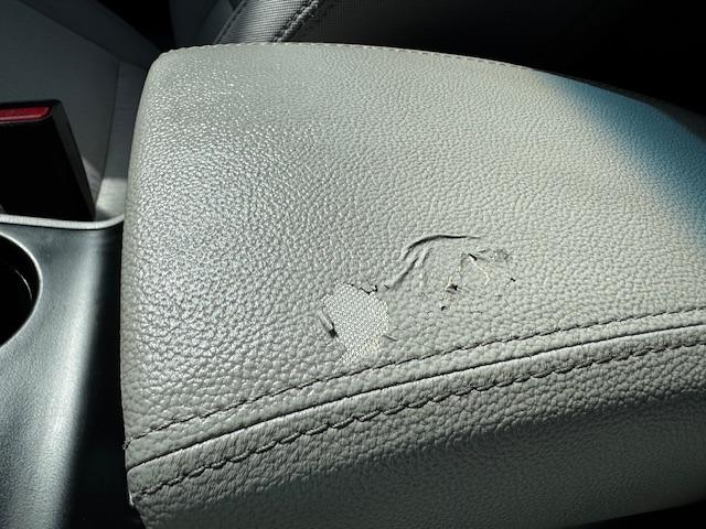 Vehicle Photograph