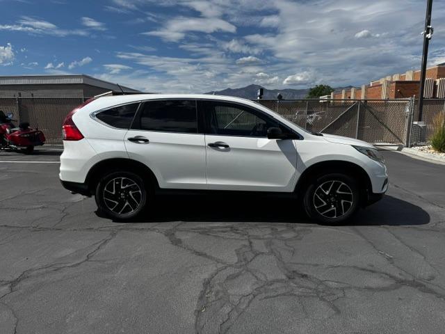 Vehicle Photograph