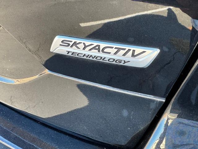 Vehicle Photograph