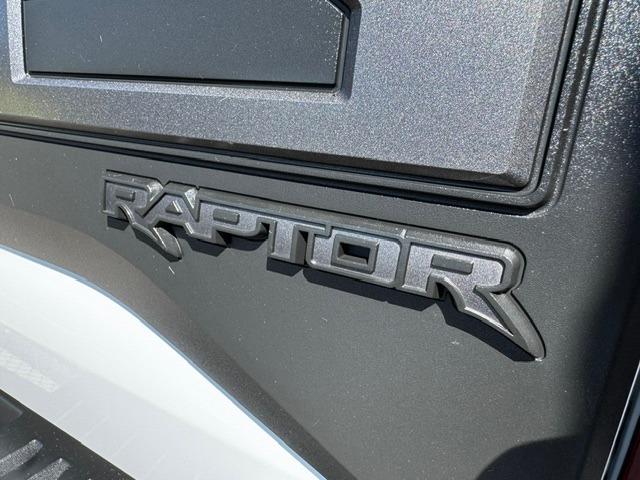 Vehicle Photograph